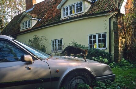 Justin Partyka, ‘Citroën CX Safari and Cat, Walnut Tree Farm, Suffolk’, 2006