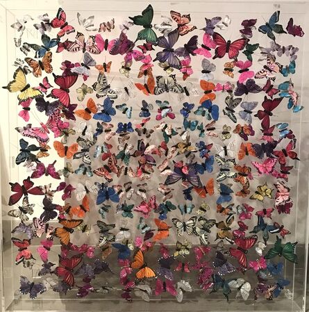 Michael Olsen, ‘Butterflies’, 2017
