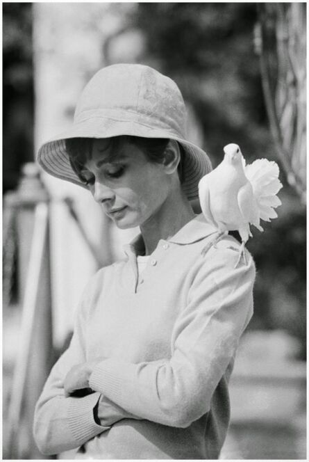 Terry O'Neill, ‘Audrey Hepburn Dove’, 1967
