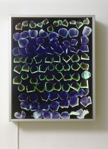 Matt Mullican, ‘Untitled (Experiments with Light)’, 2001