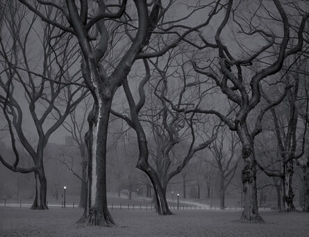 Michael Massaia, ‘The Mall - 4am - Deep In A Dream - Central Park’, 2013