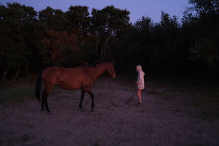 Joana Fischer, ‘The wild horse’, 2020