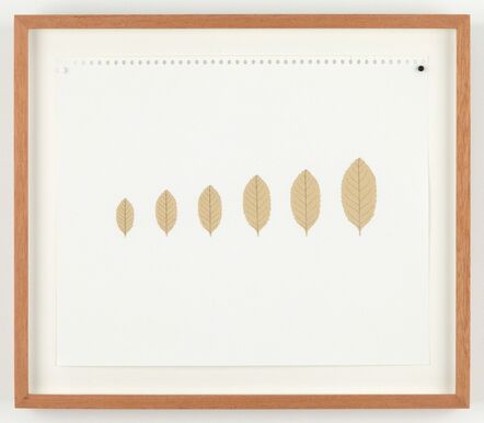 Mateo López, ‘Leaves (xs, s, m, l, xl, xxl)’, 2015