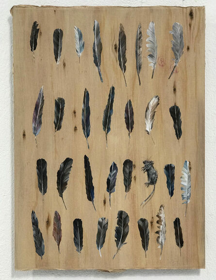 Alastair Gordon, ‘Thirty Feathers and One Mouse’, 2019