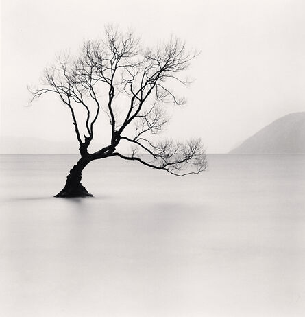 Michael Kenna, ‘Wanaka Lake Tree, Study 1, Otago’, 2013