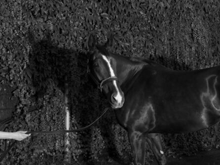 Stan Douglas, ‘Horse, 1946’, 2010