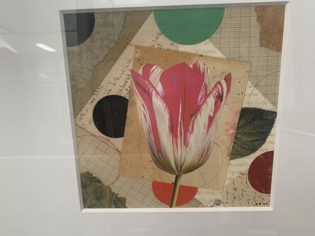 Dan Rizzie, ‘tulip’, 2004