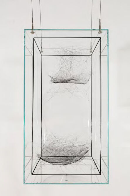 Tomás Saraceno, ‘Hybrid Dark solitary solitary semi-social Cluster HD 190228 d built by: a solo Lyniiphidae sp. - three weeks, a solo Araneus sp.- one week and a solo Cyrtophora citricola- one week, rotated 180°’, 2016
