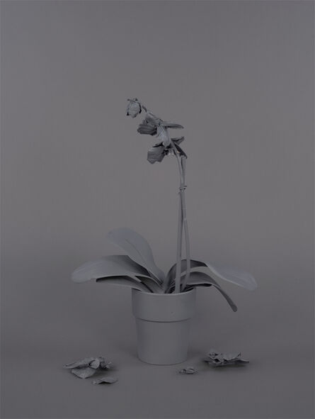 Stephanie Syjuco, ‘Neutral Orchids (Phalaenopsis, mort)’, 2016