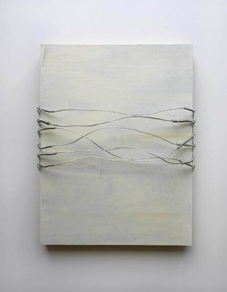 Vlatka Horvat, ‘Distrubances (Wire Lines)’, 2014