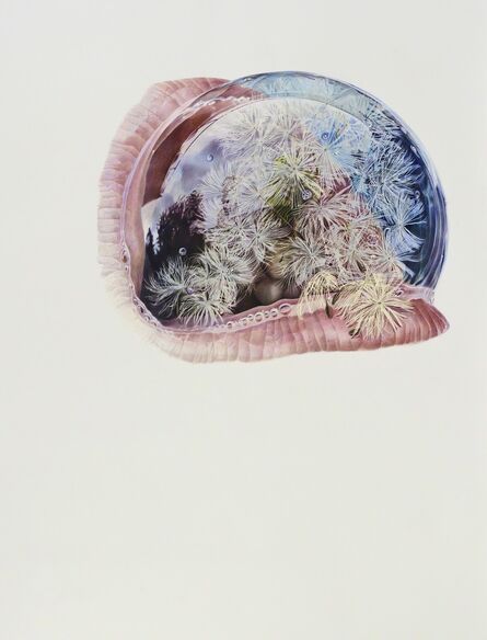 Julia Randall, ‘Dandelion’, 2012