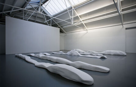 Tom Claassen, ‘Untitled (Wormfield)’, 2009