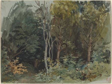 Eugène Delacroix, ‘The Edge of a Wood at Nohant’, ca. 1842/1843