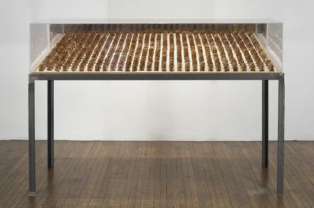 Alexander Brodsky, ‘Untitled (tea bags)’, 2008