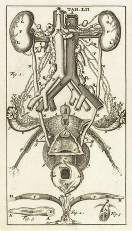 Steven Blankaart, ‘Tab. LII’, 1695