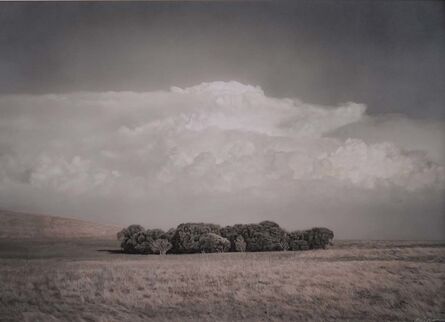 Kate Breakey, ‘Copse of Trees near The Coorong, South Australia     ’