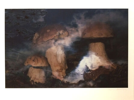 Peter Fischli & David Weiss, ‘Pilze im Wasser (Mushrooms in Water)’, 1998