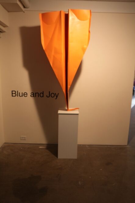 Blue and Joy, ‘Big Orange Plane’, 2013