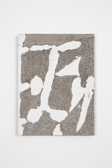 Carl Mannov, ‘Speculative Skins (Bones)’, 2016
