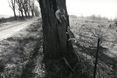 Larry Towell, ‘Black Locust Tree, Lambton, Ontario, Canada’, 1990