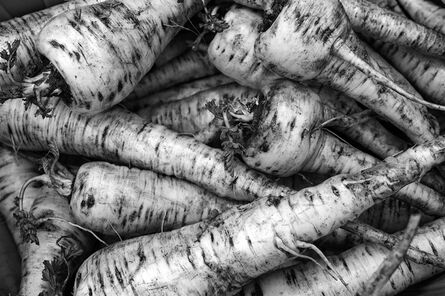Paul Cary Goldberg, ‘Parsnips . from the series 'The Farm Project'’, 2011