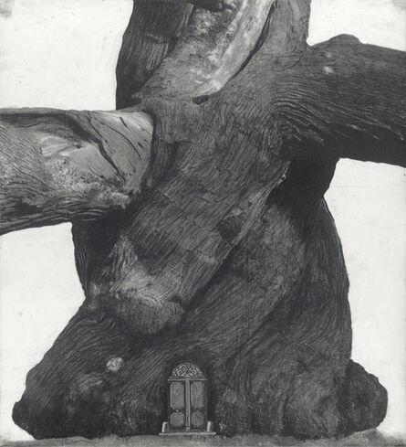 Patrick Van Caeckenbergh, ‘Drawing of Old Trees during wintry days 2007-2014’, 2007-2014
