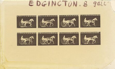 Eadweard Muybridge, ‘Edgington’, 1878