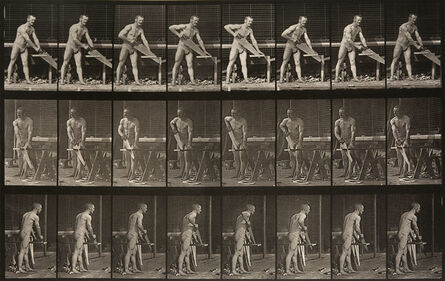 Eadweard Muybridge, ‘Animal Locomotion: Plate 380 (Man Sawing Wood)’, 1887