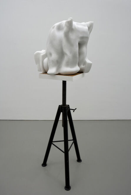 Tom Claassen, ‘Untitled (Hair style)’, 2009