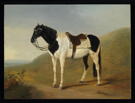 Jacob Philipp Hackert, ‘A Saddled Horse’, 1785