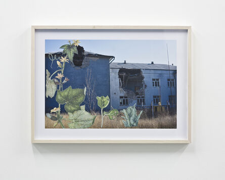 Nikita Kadan, ‘Protection of Plants’, 2015