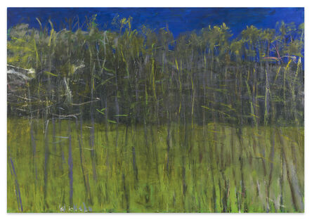 Wolf Kahn, ‘Landscape in a Minor Key’, 2010