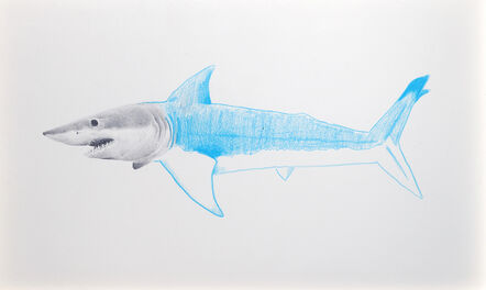 Andres Layos, ‘Tiburón azul’, 2016