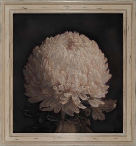 Kate Breakey, ‘Chrysanthemum II’, 2021
