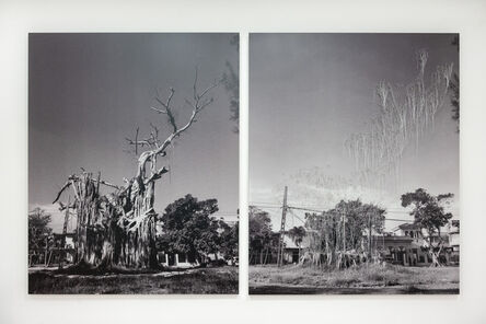 Carlos Garaicoa, ‘Sin título (Árbol) / Untitled (Tree)’, 2021
