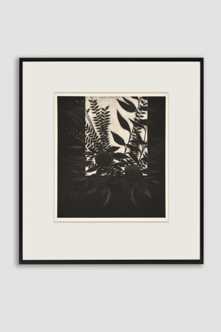 Robert Kipniss, ‘Window with Flowers Mezzotint by Robert Kipniss’, 1982