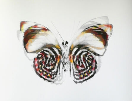 Stefania Ricci, ‘Butterfly 060’, 2019
