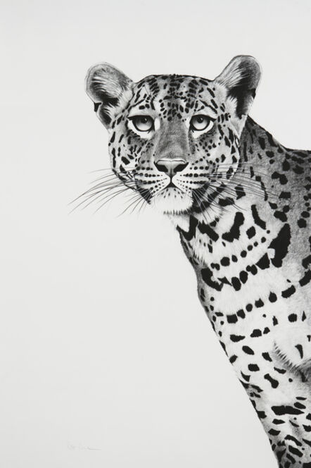 Rose Corcoran, ‘16. Leopard Peering’, 2018