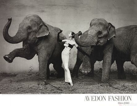 Richard Avedon, ‘Dovima with Elephants’, 2009