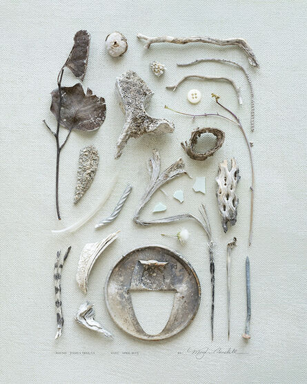 Meghan Crandall, ‘Bones’, 2015