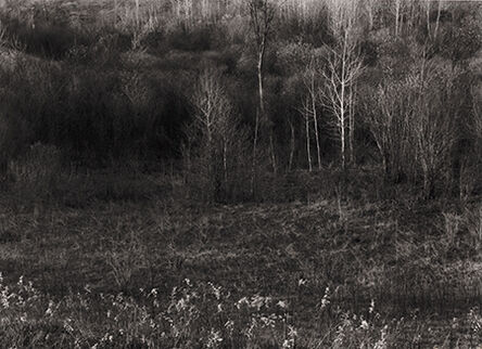 Paul Caponigro, ‘Early Spring Meadow, Adirondack Park, NY’, 1968