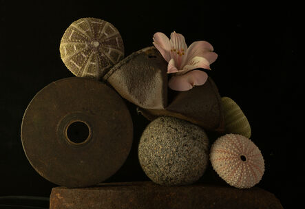 Allan Markman, ‘Still Life with Urchin and Lily ’