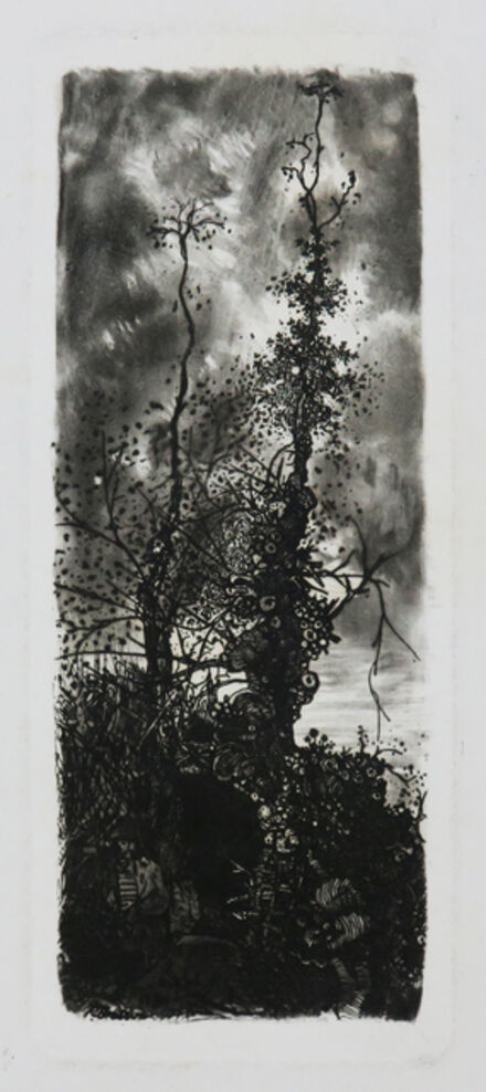 Rodolphe Bresdin, ‘L'Ermite sous les arbres. ’, 1850