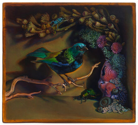 Kevin King, ‘Diorama with Green-headed Tanager’, 2014