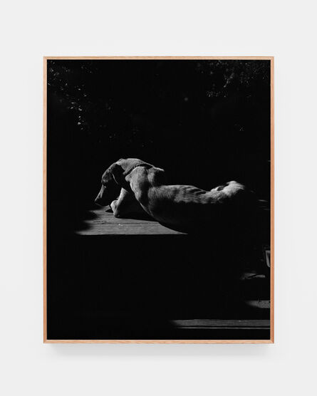 Ramiro Chaves, ‘Nardo sobre la mesa’, 2020