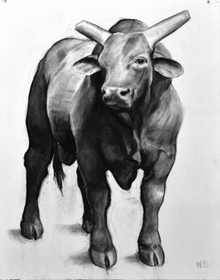 William Beckman, ‘Bull: Wyoming’, 2018