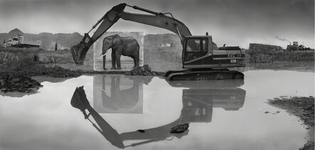 Nick Brandt, ‘Quarry with Elephant’, 2014