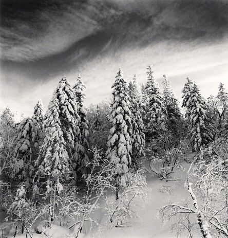 Michael Kenna, ‘Snow Clad Trees, Heilongjiang, China’, 2012