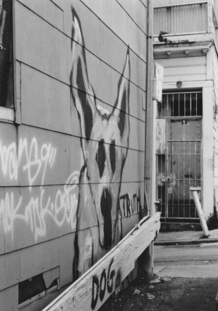 Arabella Colton, ‘Wall Dog — Pigeons, Fresno Alley, San Francisco 1992 ’, 1992