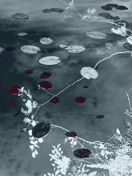 Santeri Tuori, ‘Water Lilies #10’, 2020